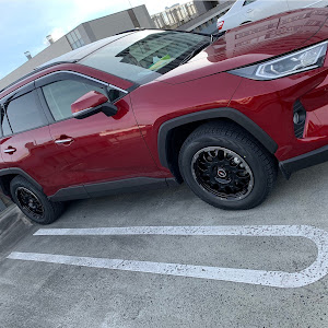 RAV4 AXAH54