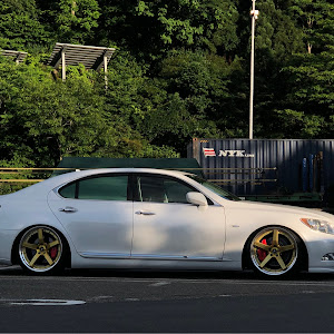 LS USF40
