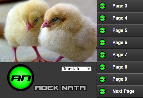 Poultry Broiler Chickens