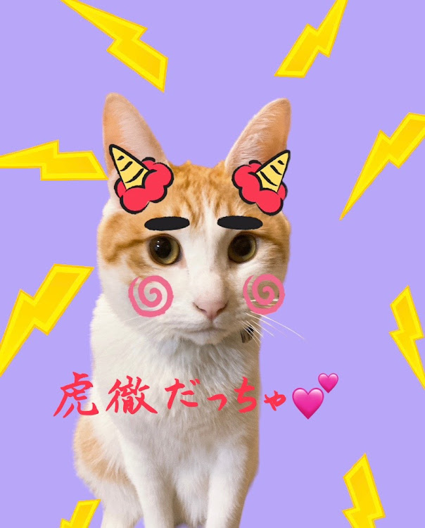 カローラスポーツのいつもイイネ&コメントありがとうございます🙇‍♂️・フロントフェンダーで魅せろ！・2月もよろしくお願いしますに関するカスタム事例の投稿画像8枚目