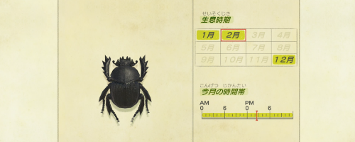 あつ森 フンコロガシ の値段と捕まえるコツ あつまれどうぶつの森攻略wiki 神ゲー攻略