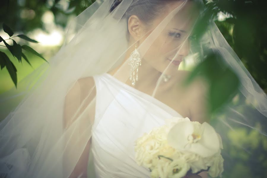 Wedding photographer Stanislav Ivanickiy (ztanizlaff). Photo of 1 June 2015