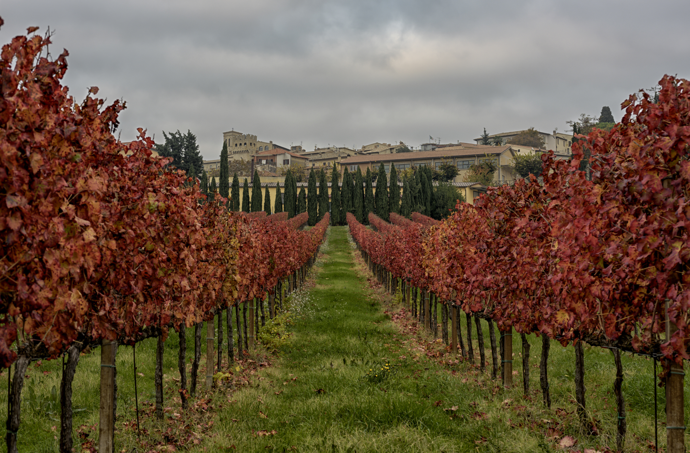 Autunno a Montefalco  di Luca160