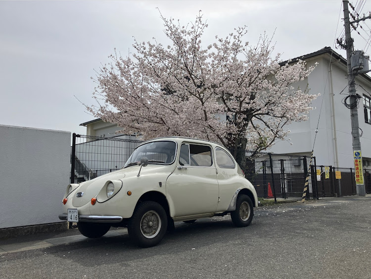 スバル360の桜シーズン開幕・4月もよろしくお願い致します🌸・桜と愛車に関するカスタム事例の投稿画像1枚目