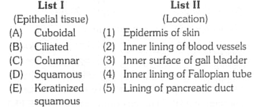 Epithelial tissue