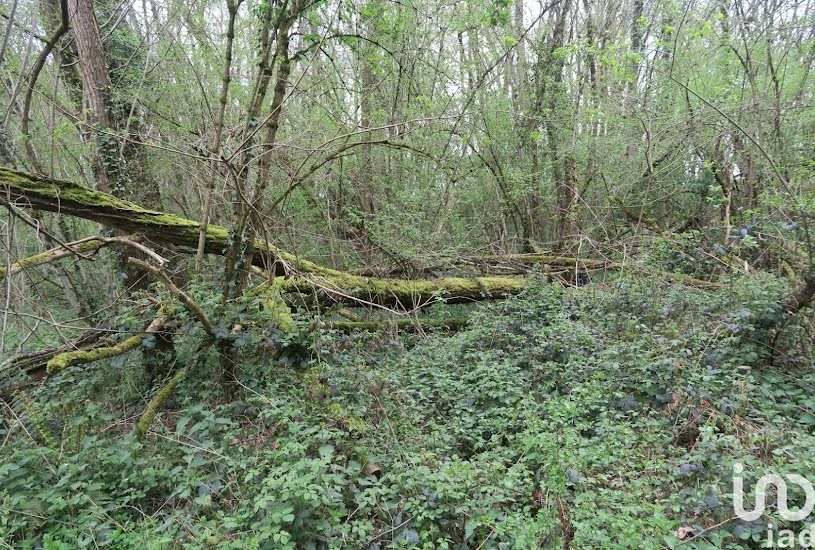  Vente Terrain à bâtir - à La Chapelle-Moulière (86210) 