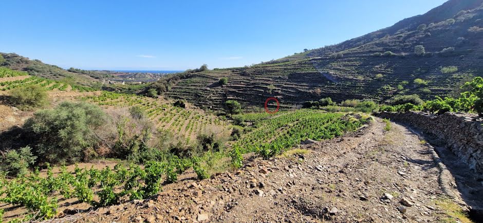 Vente terrain  41819 m² à Collioure (66190), 197 000 €