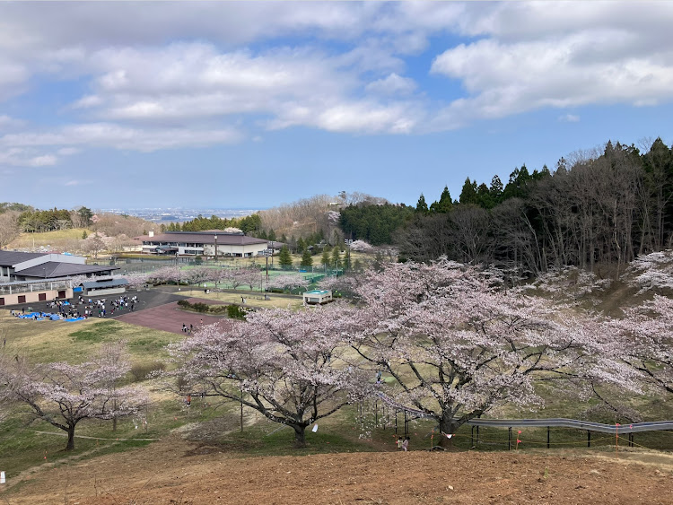 の投稿画像3枚目