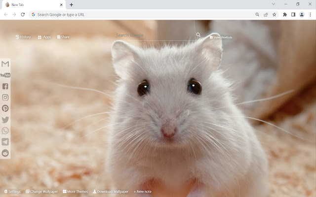 Hamster Wallpaper New Tab