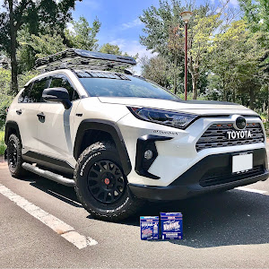 RAV4 AXAH54