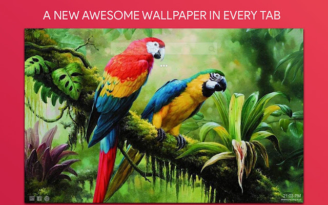 Bird Wallpaper HD Custom New Tab