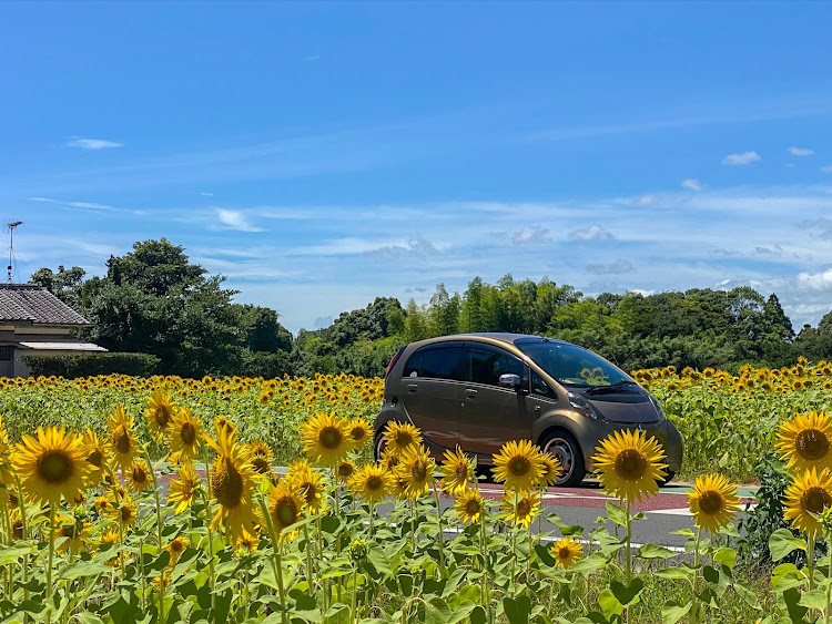 アイのひまわり畑🌻・水も滴る良い愛車・ひまわりももう満足しました🌻😄・GVさん近況報告💨に関するカスタム事例の投稿画像18枚目