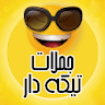 پروفایل های تیکه دار‎ icon