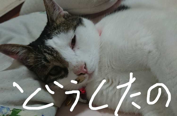 ミライースの公園で・まさか・痛恨の一撃・神・全部入りに関するカスタム事例の投稿画像2枚目
