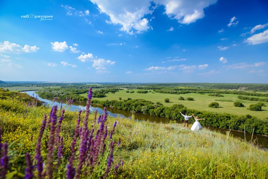 Photographe de mariage Tatyana Voloshina (voloha). Photo du 22 juillet 2016