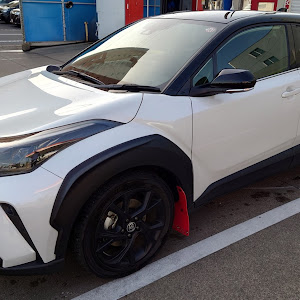 C-HR ZYX11