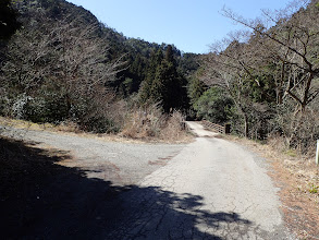 橋の手前の分岐を左へ