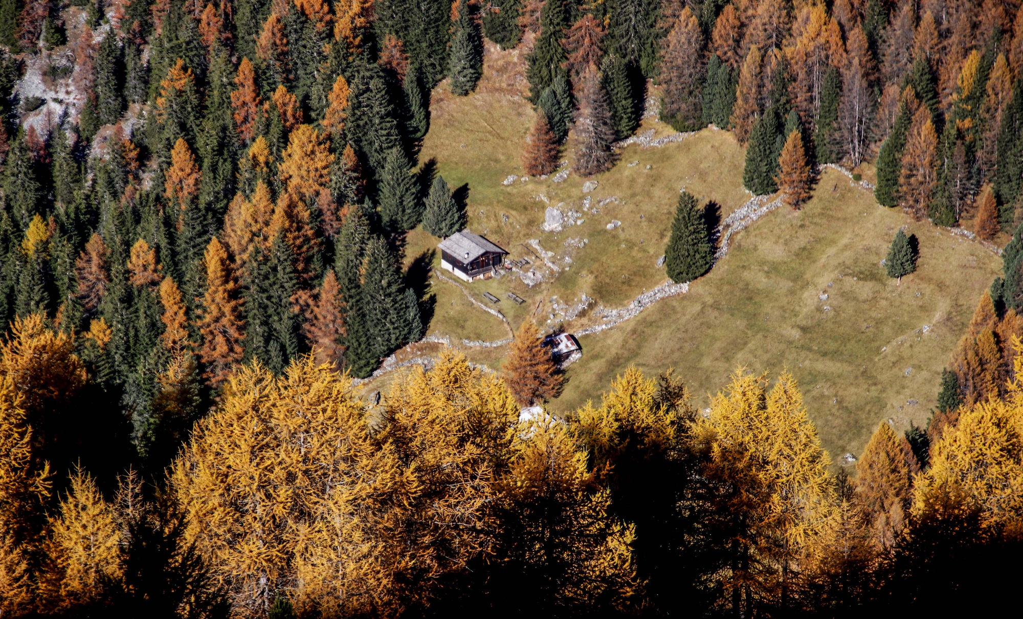 Colori dell'autunno dall'alto di ringhio