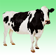 Download Cow sounds For PC Windows and Mac 1.2