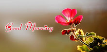 Good Morning Quotes Images APK