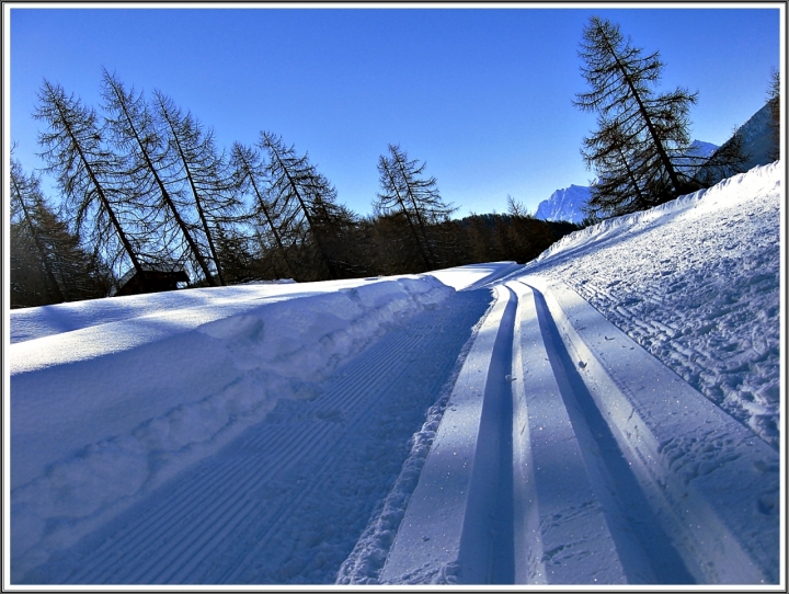 FONDO BIANCO di lonni