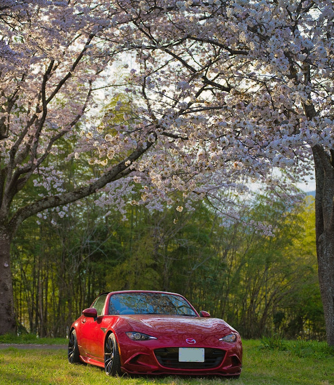 ロードスターの目指せPickUpCars・ロードスターrf・ソメイヨシノ‪🌸も静岡が最強じゃね説・4月もよろしくお願い致します🌸に関するカスタム事例の投稿画像11枚目