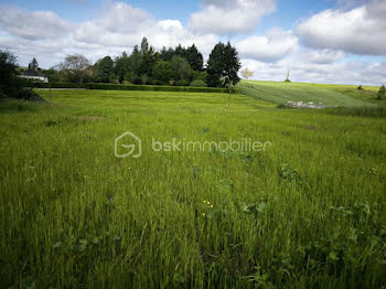 terrain à Montoire-sur-le-Loir (41)