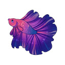 Betta Fish Wallpaper