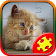 Cute Cats Jigsaw Puzzles icon