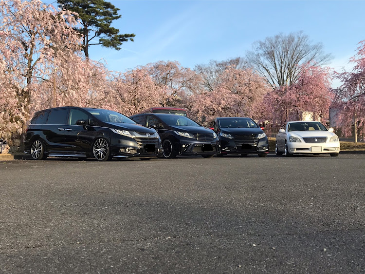 クラウンロイヤルのRCオデッセイ・グランディス・プチオフ会・桜とコラボに関するカスタム事例の投稿画像3枚目