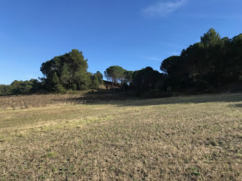 maison neuve à Villeneuve-Minervois (11)