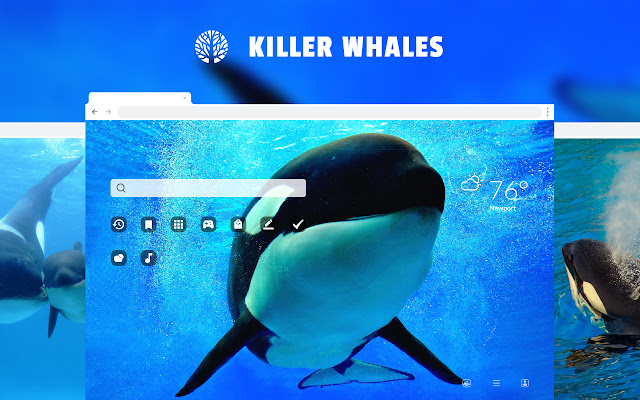 Killer Whales HD Wallpaper New Tab Theme