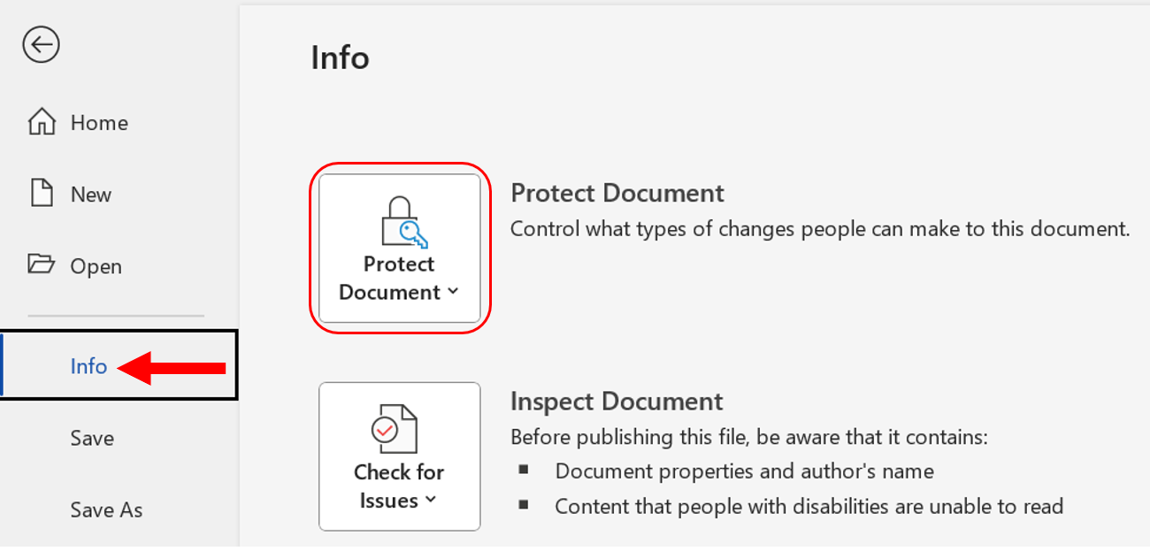 Screenshot showing the Password protect option in Microsoft Word