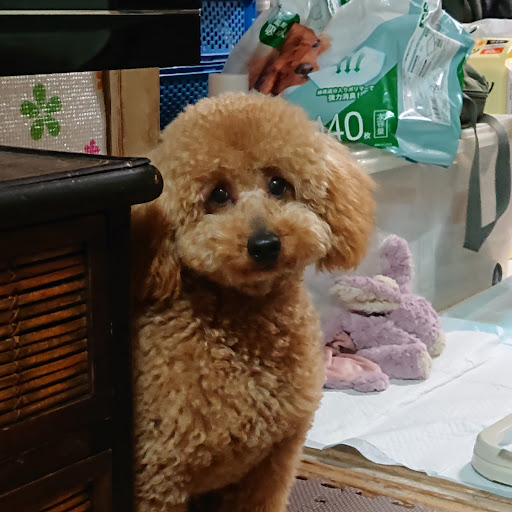 のぼるのプロフィール画像