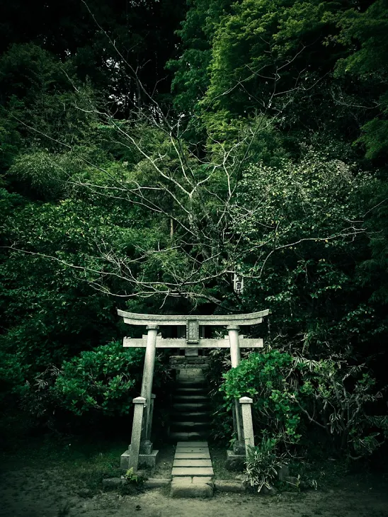 「林の神社」のメインビジュアル