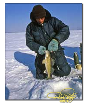 icefisher