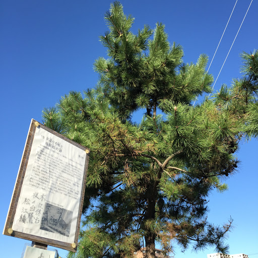 見返り松と鳥居松の跡