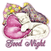 Good Night SMS Messages Msgs  Icon