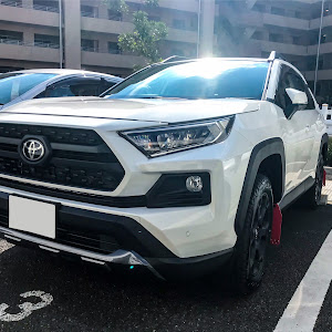 RAV4 MXAA54