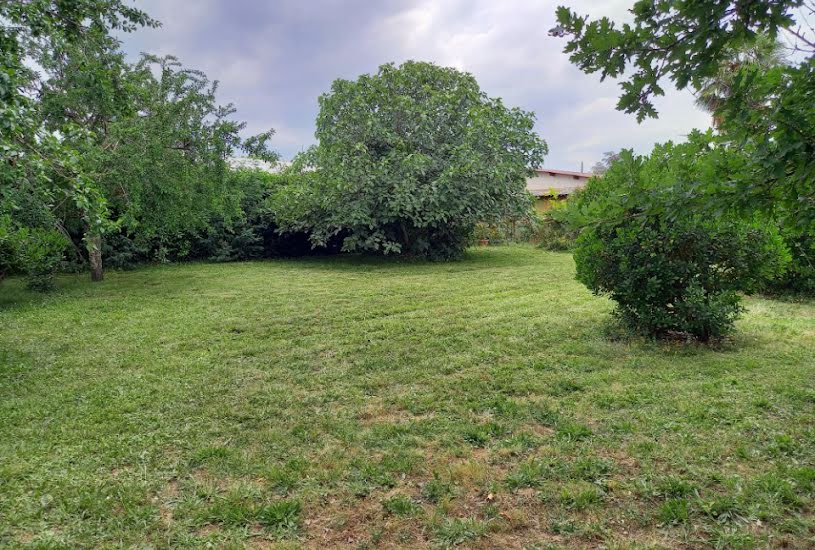  Vente Terrain + Maison - Terrain : 500m² - Maison : 88m² à Gaillac (81600) 