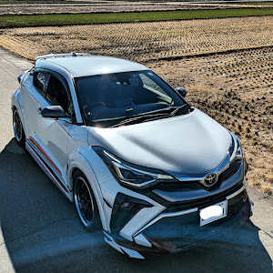 C-HR NGX10