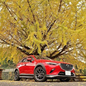 CX-3 DK5FW