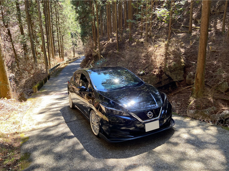 リーフの険道巡礼・林道:常盤線・ピストン林道・装甲騎兵ボトムズ・林道仙人に関するカスタム事例の投稿画像2枚目
