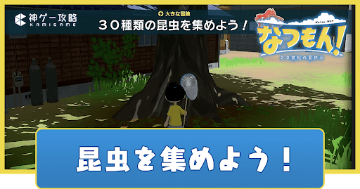 昆虫を集めよう！の進め方と報酬