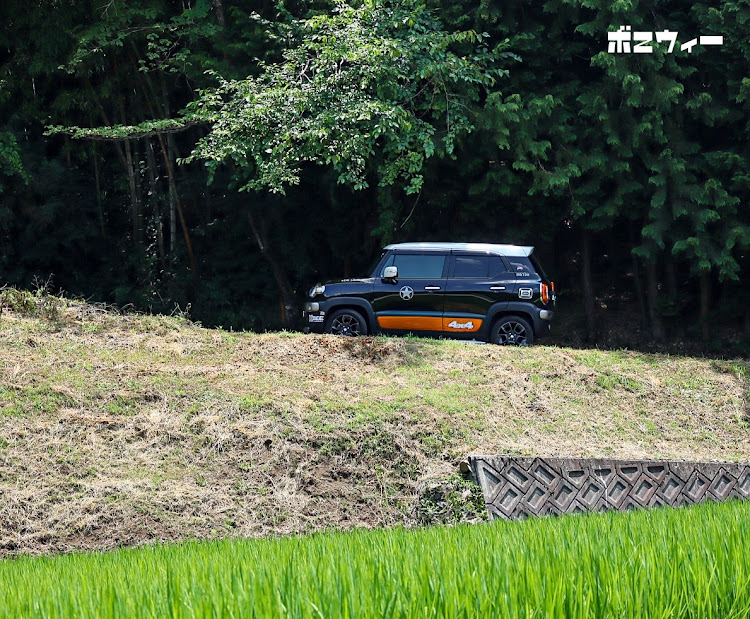クロスビーのくろすけ・8月もよろしくお願いします・ポプラ並木に関するカスタム事例の投稿画像8枚目