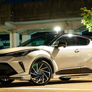 C-HR NGX10