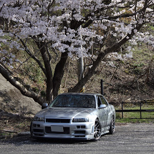 スカイライン R34