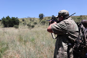 A community member looks through his scope while attempting to track a tiger in Walkerville, south of Johannesburg. The tiger has mauled two dogs, a pig, a deer and a man who is in hospital receiving medical treatment.