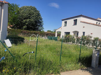 terrain à Saint-Cyprien (66)