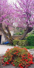 maison à Noisy-sur-Ecole (77)